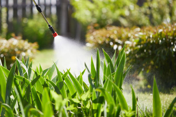 24/7 Emergency Termite Control experts in Joanna, SC